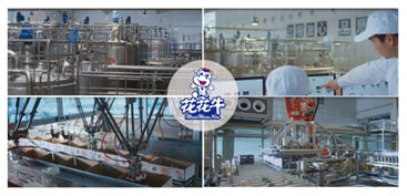 创新驱动，引领科技浪潮——热烈祝贺花花牛智能工厂通过验收